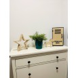 OSŁONKA MINI 125 x 130 MM, ZIELONA
