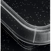 POJEMNIK NA ŻYWNOŚĆ ANTIBACTERIAL 20 X 15 ORGANIZER 1,6 L
