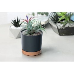 Doniczka Antracytowa osłonka z podstawką TUBO PM 24cm